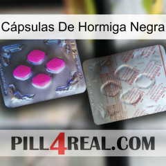 Cápsulas De Hormiga Negra 38